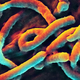 Illustration for article titled These Scientists Have a Plan to Make Ebola Research More Affordable